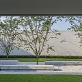 Deciduous Trees in Front of Gray Wall with Stone Benches Grass Lawn and Gravel