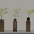 Minimalist Bonsai Plants On Wooden Pedestals With Various Pots And Green Foliage