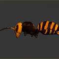 Detailed 3D Rendered Wasp With Black And Orange Stripes Compound Eyes Transparent Wings