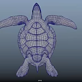 Reptile Sea Turtle With Textured Shell And Flippers Swimming Gracefully