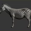 Detailed 3D Zebra Character Model For Game And Movie Scenes
