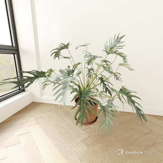 Indoor Large Leaf Potted Plant in Brown Ceramic Pot Near Window with Wooden Floor and White Wall 3d model 