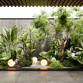 Lush Indoor Landscape With Tropical Plants Trees Round Lights Concrete Wall And Stone Floor