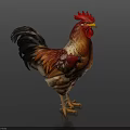 Colorful Rooster With Red Comb And Yellow Beak Standing On Dark Background