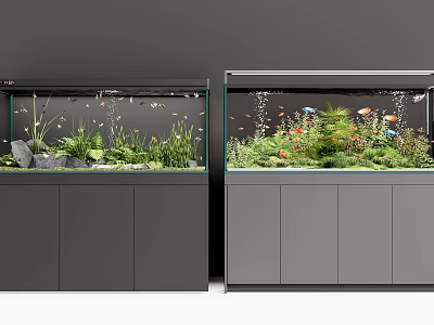 Two Aquarium Fish Tanks With Modern Cabinet And Colorful Fish Aquatic Plants 3d model