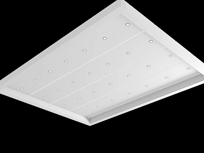 Modern White Ceiling Design With Recessed Lights And Grid Panel Pattern 3d model