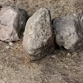Natural Stone Pieces Arranged On Wooden Surface With Textured Earthy Ground
