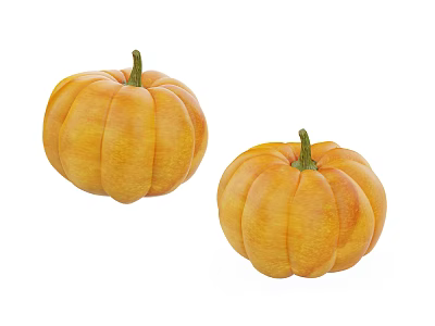 Two Fresh Orange Ripe Pumpkins As Healthy Vegetable For Cooking Recipes 3d model