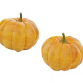 Two Fresh Orange Ripe Pumpkins As Healthy Vegetable For Cooking Recipes