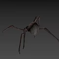 Game and Movie Spider Character 3D Model Design With Gray Background Details