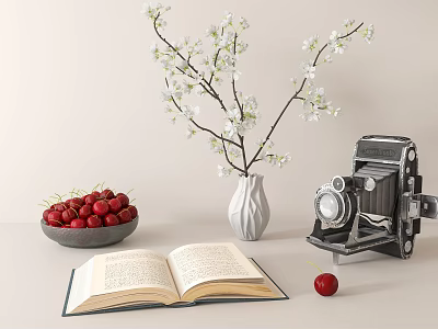 Decorative Ornament Set With Vintage Camera Open Book White Flower Vase Bowl Of Red Cherries 3d model