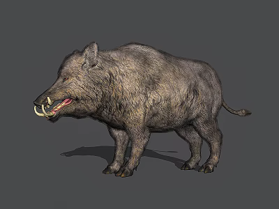Wild Reptile With Rough Skin And Sharp Teeth Standing On Gray Background 3d model