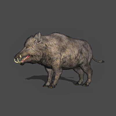 Wild Reptile With Rough Skin And Sharp Teeth Standing On Gray Background 3d model