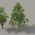 Lush Green Trees With Foliage Brown Trunks And Surrounding Grass 3d model