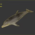 Realistic Marine Dolphin Creature With Shiny Skin And Reflective Surface