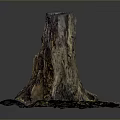 Natural Wooden Tree Stump With Green Moss And Fallen Leaves Base