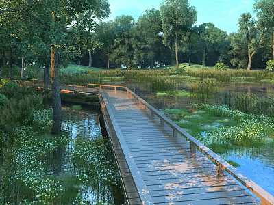 Scenic Wooden Boardwalk Surrounded by Trees Water Grass and White Flowers 3d model
