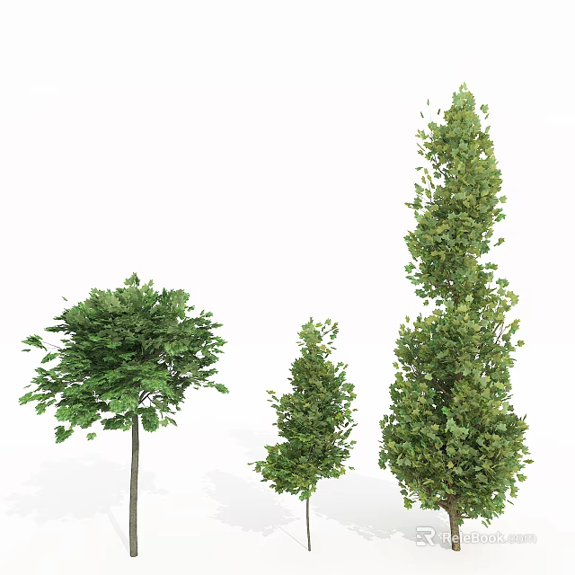 Different Arbor Tree Types Featuring Diverse Heights and Lush Green Foliage 3d model