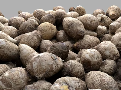 Fresh Organic Taro Root Vegetables Pile For Healthy Cooking Needs 3d model