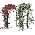 Decorative Garden Arches With Red And White Flower Vines