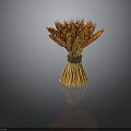 Golden Wheat Ears Bunch Tied With Green String On Dark Background