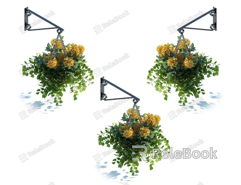 modern hanging basket model