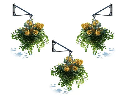 Decorative Hanging Basket Plants With Yellow Flowers And Green Foliage On Metal Brackets 3d model