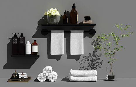 Modern toiletries bathroom products combination 3d model