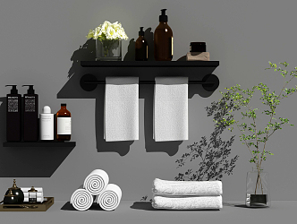 Modern toiletries bathroom products combination 3d model