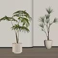 Indoor Decorative Potted Plants With Different Leaf Types In White Planters On Wooden Floor