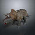 Detailed Triceratops Dinosaur Model With Realistic Textured Skin And Horns