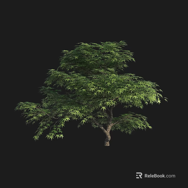 Lush Arbor With Green Leaves Dense Branches And Strong Trunk On Black Background 3d model 