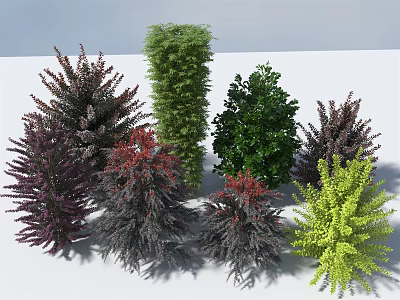 Diverse Colored Shrubs With Various Foliage Shapes And Green Purple Red Yellow Leaves 3d model