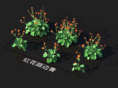 Vibrant Red Flower Geum Plants With Bright Red Blooms And Lush Green Leaves 3d model