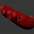 Organ System Red Tubular Structure 3D Rendered Model on Dark Background 3d model