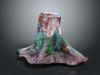 Natural Wood Stump With Moss Covered Surface And Exposed Tree Roots 3d model