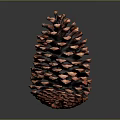 Natural Reddish Brown Pine Cone as Decorative Household Item with Distinct Scales on Dark Background
