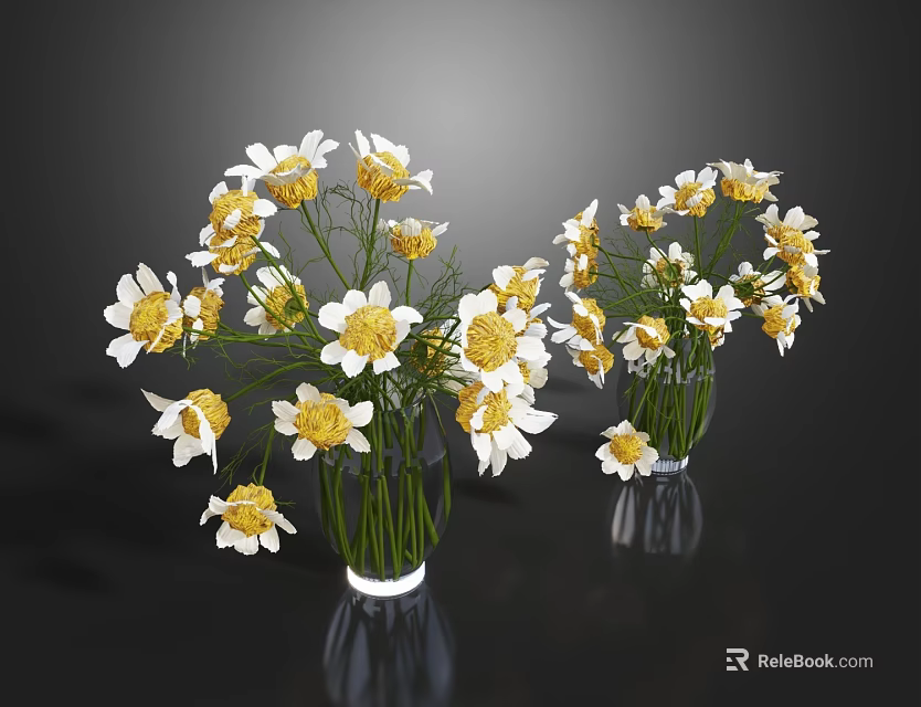 Two Transparent Glass Vases With White Petals Yellow Centers Daisies Against Dark Background 3d model 