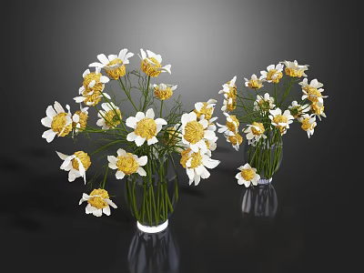 Two Transparent Glass Vases With White Petals Yellow Centers Daisies Against Dark Background 3d model