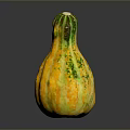 Ripe Fresh Organic Yellow Green Speckled Pumpkin With Unique Curved Shape
