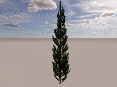 Tall Evergreen Arbor Standing Against Blue Sky With White Clouds And Open Ground 3d model