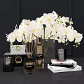 White Orchids in Glass Vase with Scented Candles Books and Decorative Items