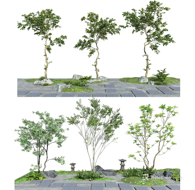 Various Types of Ornamental Arbor Trees with Stone Path Stones and Small Plants 3d model 