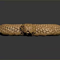 Shiny Golden Reptile Snake with Scaled Skin Coiled on Dark Reflective Surface