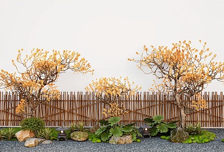 Arbor modeling tree wintersweet old pile plum tree courtyard sketch landscape stone 3d model