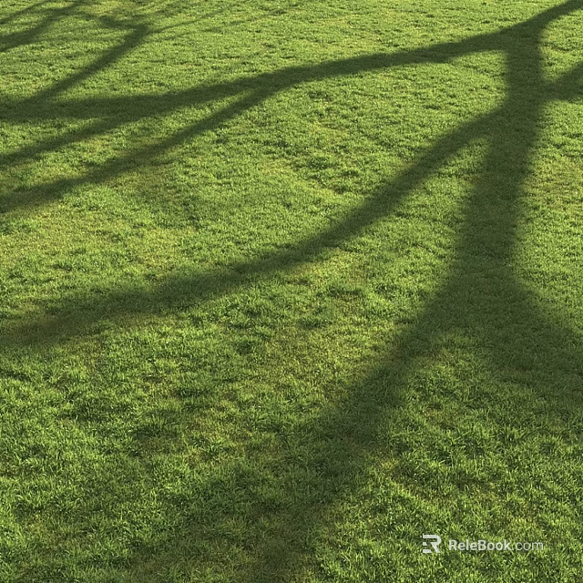Elegant Decorative Ornament Set On Green Grass With Tree Shadows In Garden 3d model 