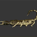 3D Rendered Scorpion with Brown Yellow Exoskeleton Curled Tail and Shiny Pincers