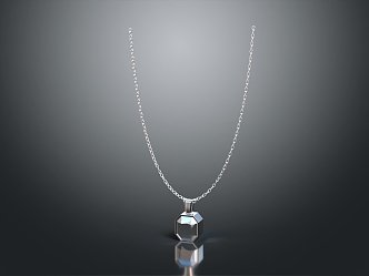 Modern Necklace Tianzhu Necklace Ornament Jewelry 3d model