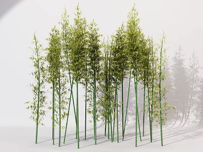 Lush Green Bamboo Plants With Tall Stalks And Fresh Leaves In Group 3d model
