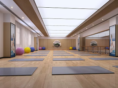 Spacious Yoga Fitness Studio With Neatly Arranged Mats Mirrors Colorful Exercise Balls And Wooden Floors 3d model
